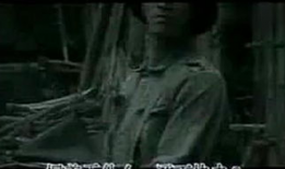 神风神龙电视剧,传奇英雄的荣耀征程